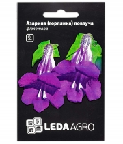Изображение товара Семена цветов Азарина(горлянка) фиолетовая